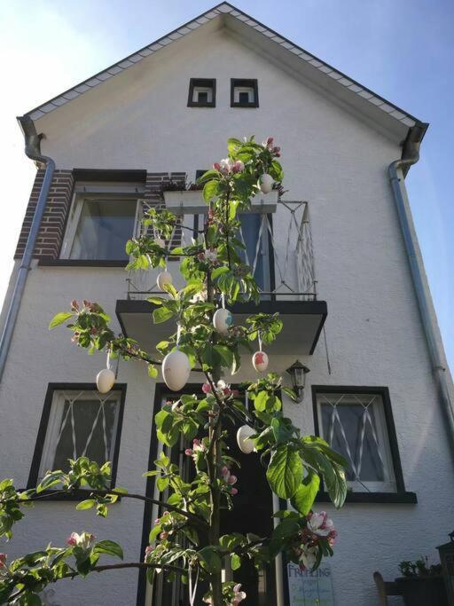 Schoenes Haus Mit Grossem Garten 塞利根施塔特 外观 照片